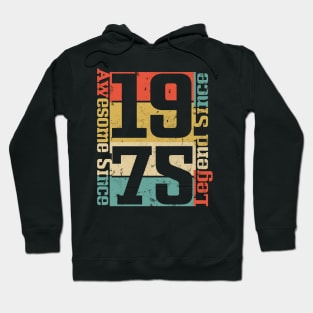 Awesome Since 1975. 45th Birthday Gift Idea Hoodie